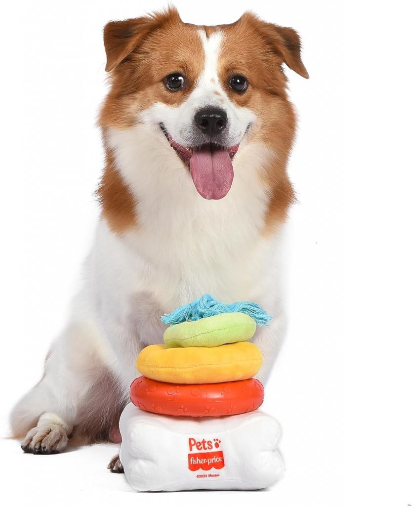 Fisher-Price for Pets Attack-A-Stack Chase  Toss Toy | Ring Stack Toy for Dogs, Multifunctional Toys, Developmental Toys for Dogs and Puppies | Mental Stimulation Toys for Dogs