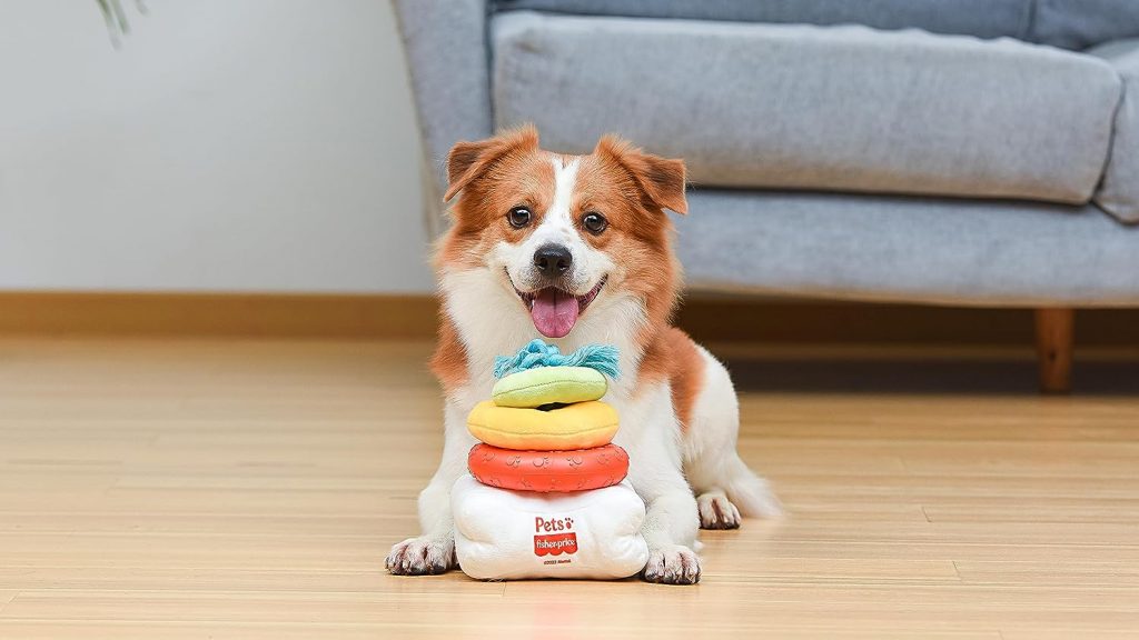 Fisher-Price for Pets Attack-A-Stack Chase  Toss Toy | Ring Stack Toy for Dogs, Multifunctional Toys, Developmental Toys for Dogs and Puppies | Mental Stimulation Toys for Dogs
