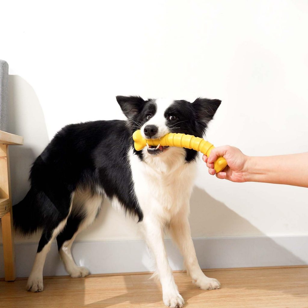 kollpop Dog Toys for Small Medium Large Dogs, Indestructible Dog Chew Toys for Aggressive Chewers, Interactive Rubber Dog Bone Toys for Aggressive Chewers Teething, Training Pet Toys