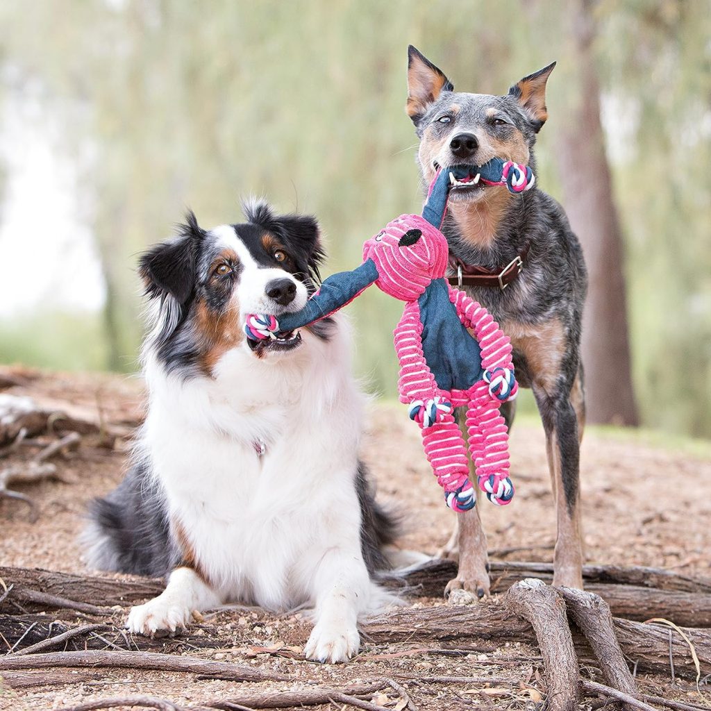 KONG Floppy Knots Elephant - Internal Floppy Knot Rope Toy for Dogs - Elephant Dog Toy for Aggressive Chewers - Tug Toy with Minimal Stuffing - Rope Dog Toy with Squeakers - Medium/Large Dogs