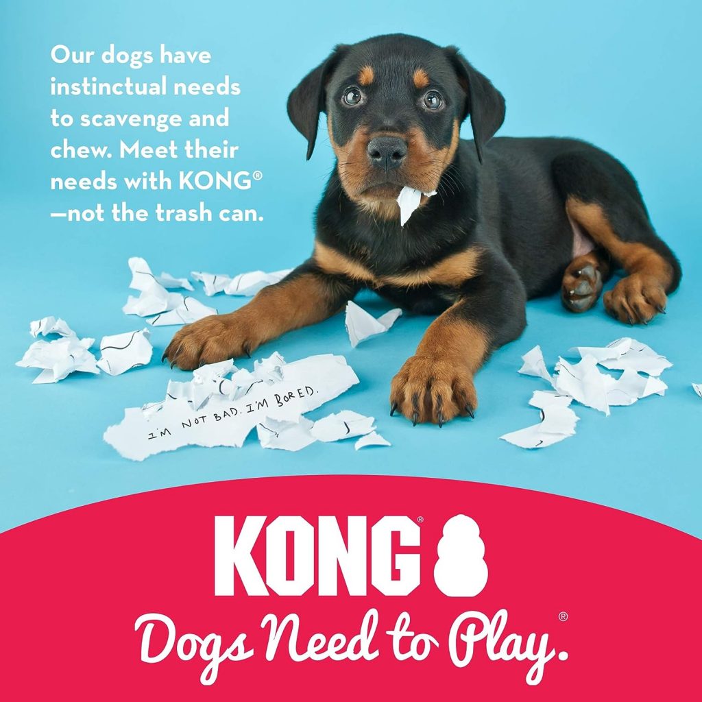 KONG - Puppy Toy Natural Teething Rubber - Fun to Chew, Chase and Fetch - for Small Puppies - Pink