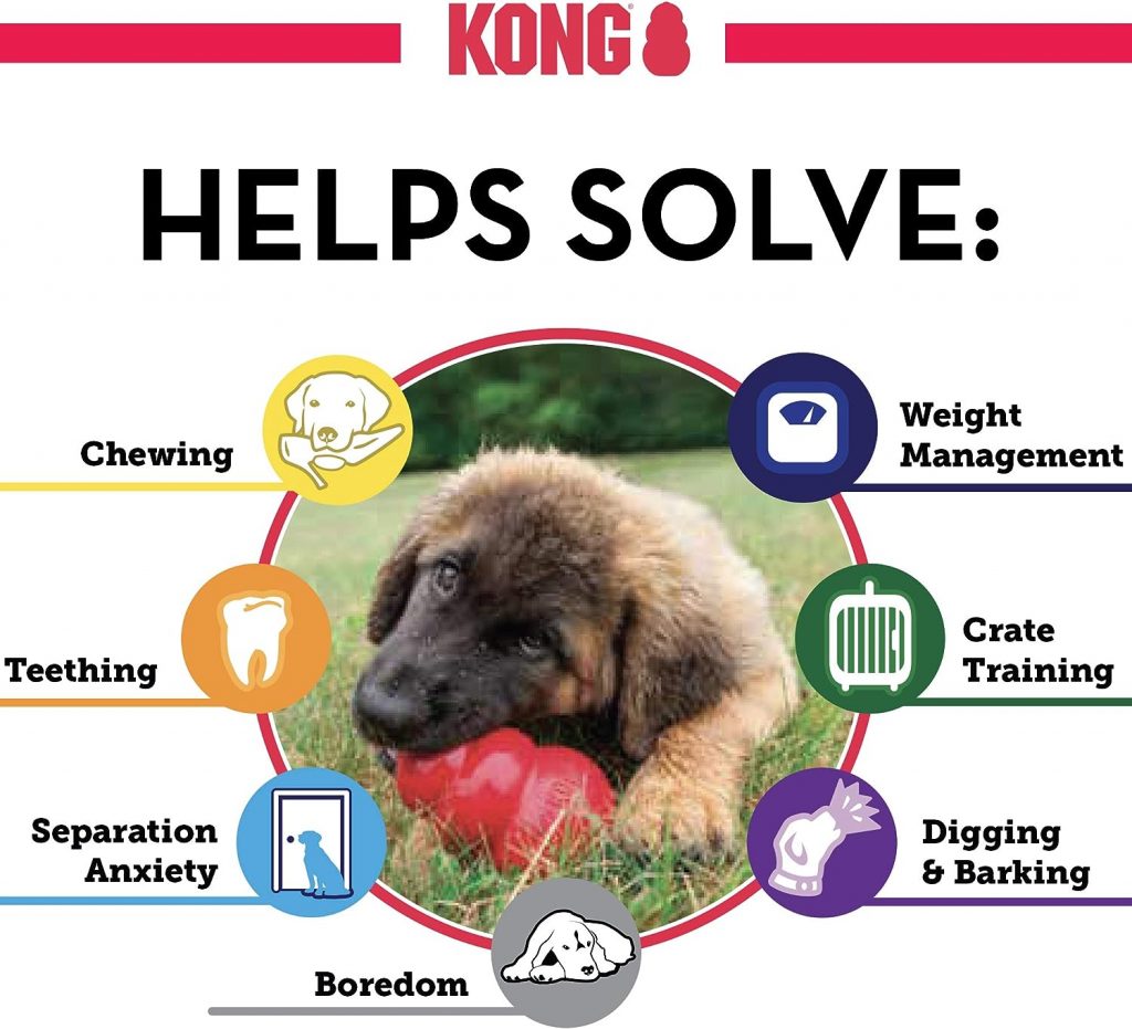 KONG - Puppy Toy Natural Teething Rubber - Fun to Chew, Chase and Fetch - for Small Puppies - Pink