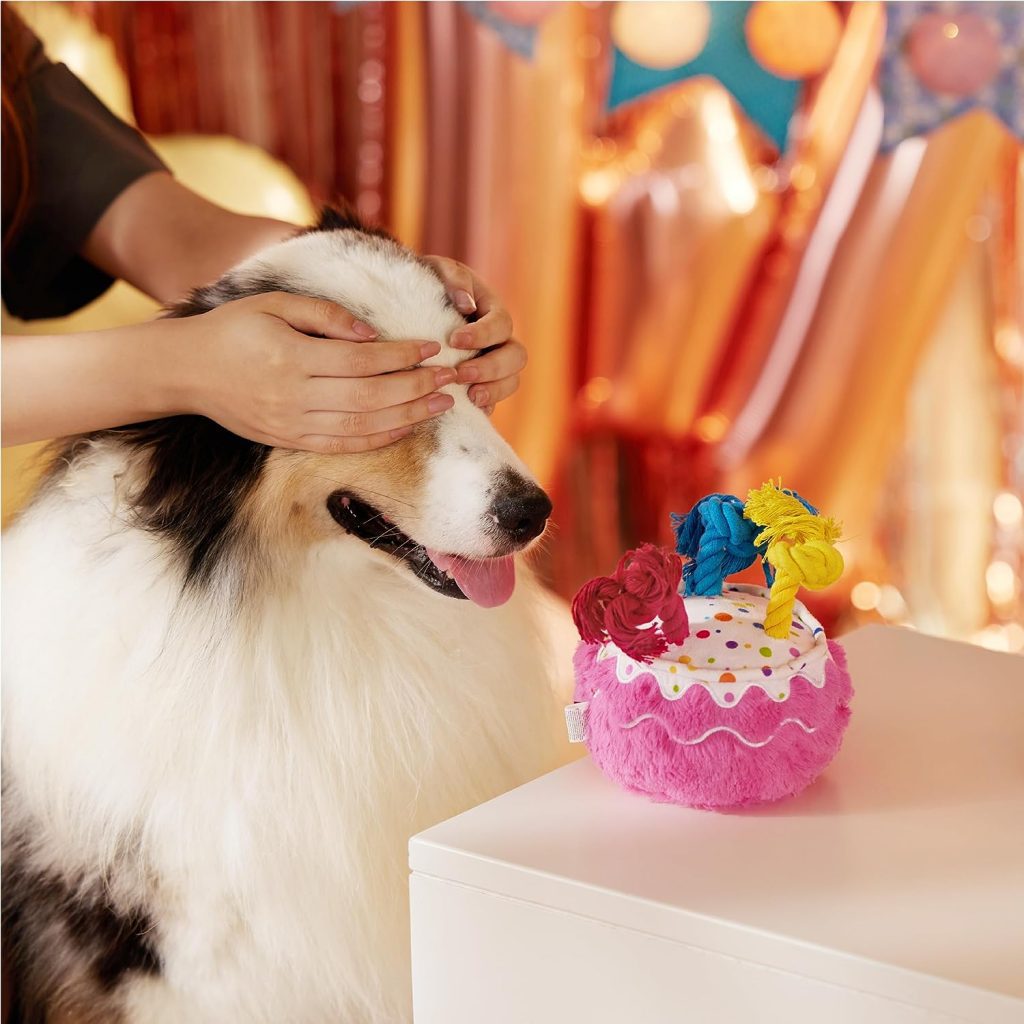 Lesure Dog Birthday Cake Toys - Plush Squeaky Dog Toys for Aggressive Chewers with Tough Rope and Crinkle Paper for Puppies, Indestructible Stuffed Dog Gifts, Cake, Pink