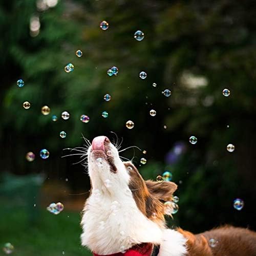 Pet Qwerks Incredibubbles Interactive Pet Toys - Long Lasting Edible Bubbles for Dogs  Cats - Peanut Butter Flavor - 38 ML, All Breed Sizes