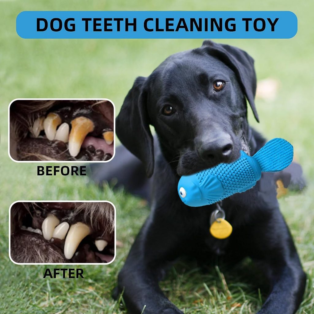 WinTour Squeaky Dog Toys for Aggressive Chewers, Dog Chew Toys for Aggressive Chewers Large Breed, Indestructible Dog Toys for Large Dogs Aggressive Chewers, Tough Chew Toys for Dogs, Durable Dog Toys